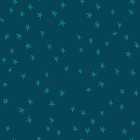 Starry New Galaxy RS410987