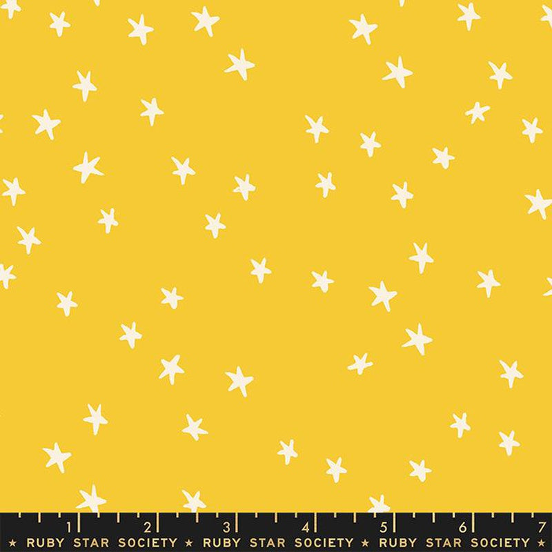 Starry Sunshine RS410962