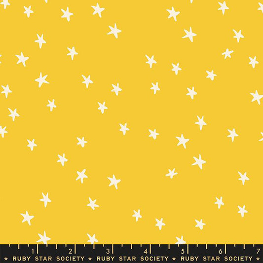Starry Sunshine RS410962